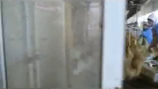 подвес и убой 兼容格式 MP4 320x240 смотреть онлайн