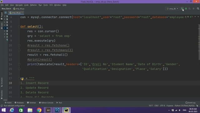 Python Project | Employees Database Management System | Connect with MySQL #python #pythontutorial смотреть онлайн