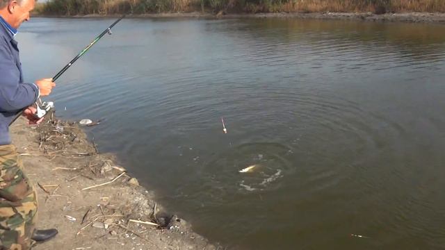 Веселая рыбалка смотреть онлайн