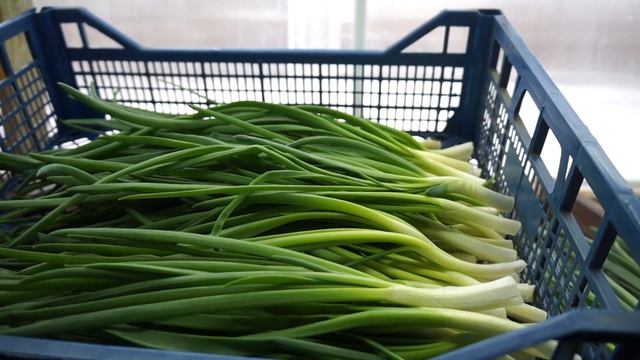 Урожай Штутгарта зимой смотреть онлайн