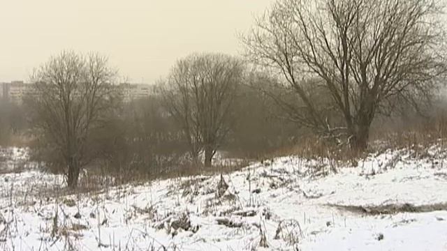 В Петербурге откроют стелу Неизвестному Солдату смотреть онлайн