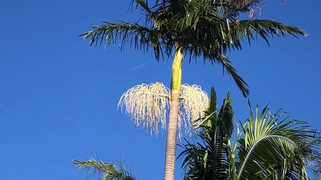 UFO Busters That UFO Show Included, Today’s Catches  15-04-2022 Enjoyment ?