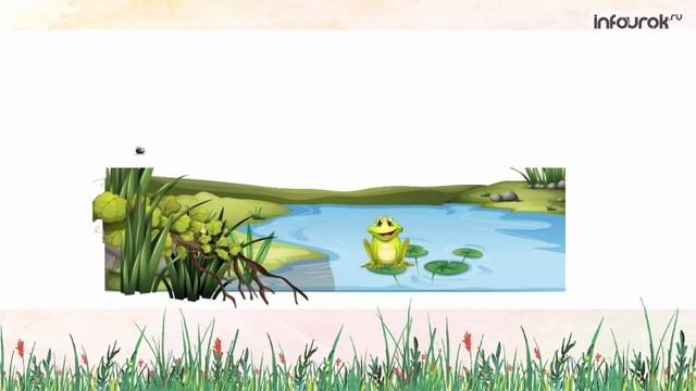 Буква Ж | Дошкольники | Буквы #8 | Инфоурок смотреть онлайн