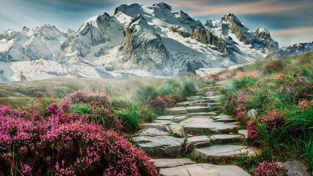 Tony Anderson. Midway