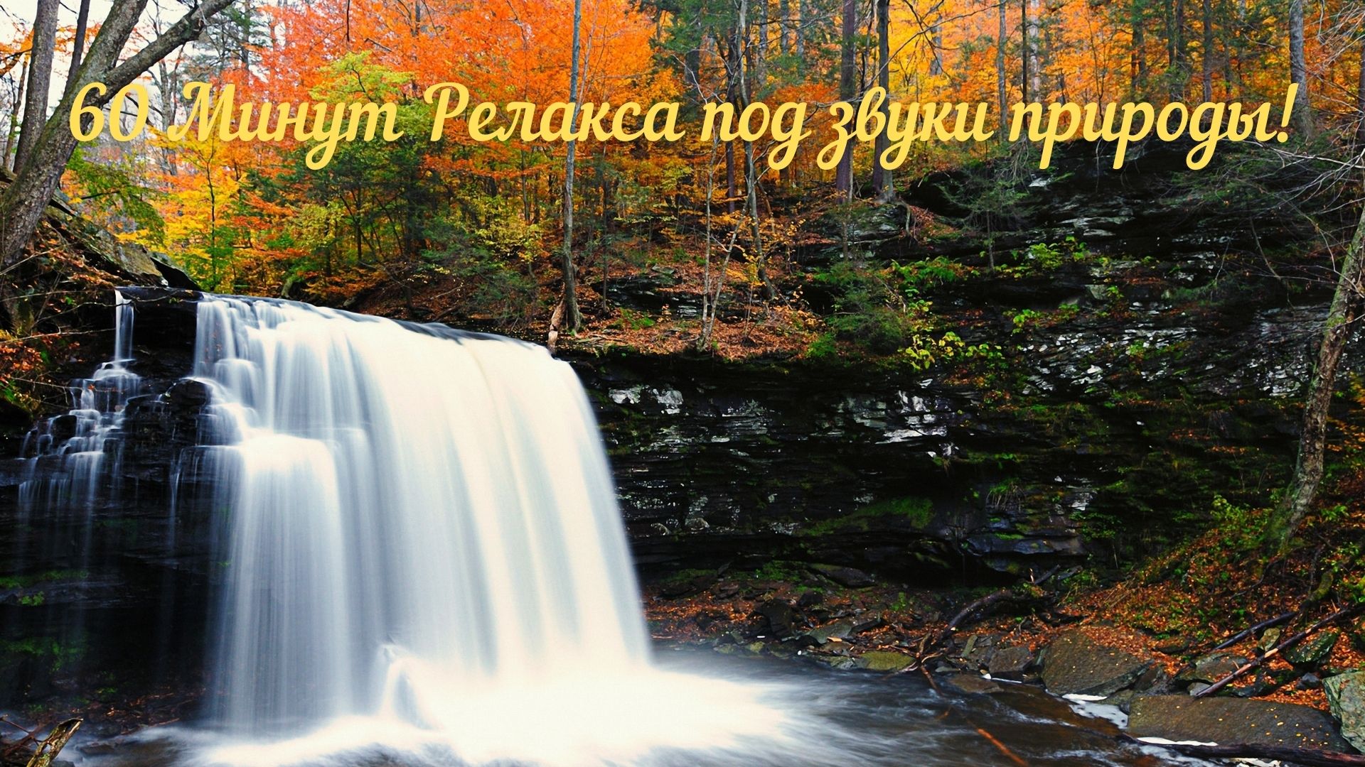Музыкальная подборка ♬ 28 - Релакс под звуки природы (Relax to the sounds of nature). смотреть онлайн