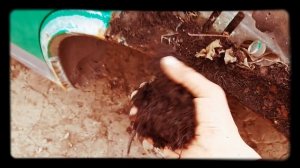 Как снять крыло #VW Т4