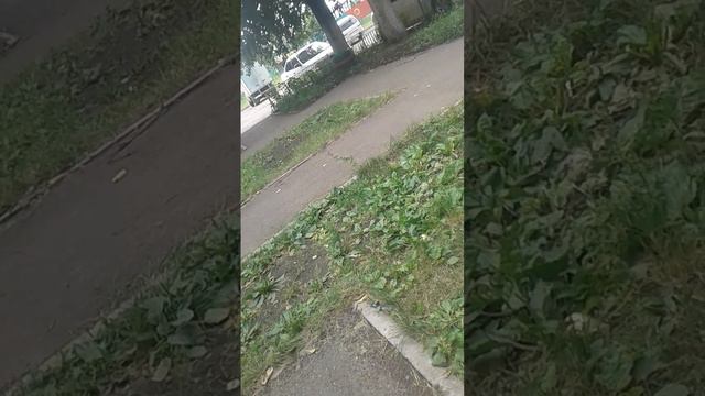 птицу назвал лена смотреть онлайн