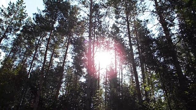 За Иван Чаем в Аксакульский Лес Лес меня встретил Соловьиным пением смотреть онлайн