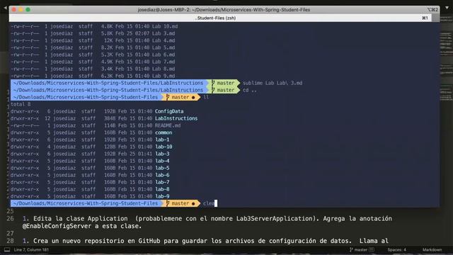 Lab3: Spring Cloud Config - parte 1 смотреть онлайн