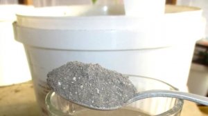 Супер Подкормки Для Пышного Цветения Бегонии / Удобрения Которые Заставят Бегонию Долго Цвести