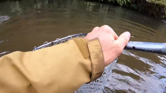 FLY FISHING in the BEST Water for TROUT! смотреть онлайн