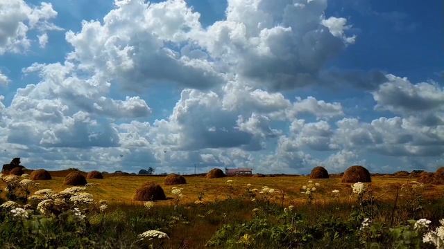 Русское поле смотреть онлайн
