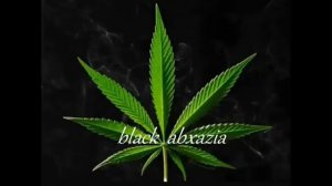 Сижу на травке Блатной