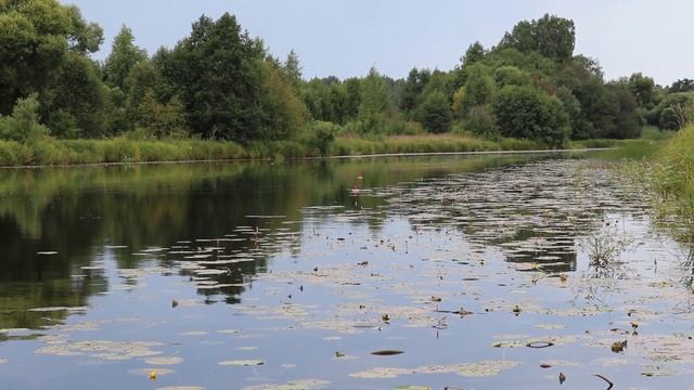 РЫБАЧИМ ЩУКУ НА КРУЖКИ!!!КАРАСЕЙ ПРОСТО РВУТ... смотреть онлайн