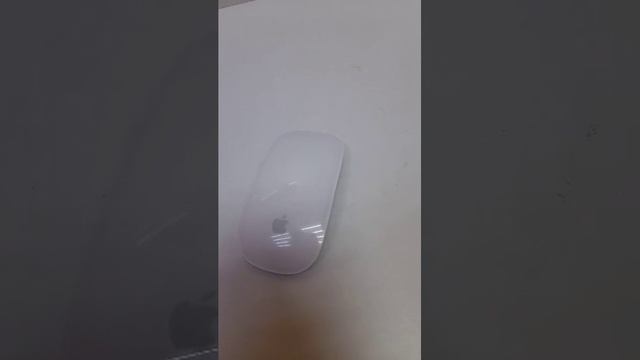 Видео №533860 смотреть онлайн