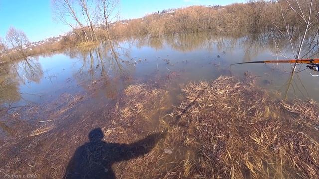 Этот ЗУД! Надо спасать! Рыбалка на Оке весной 2021! смотреть онлайн
