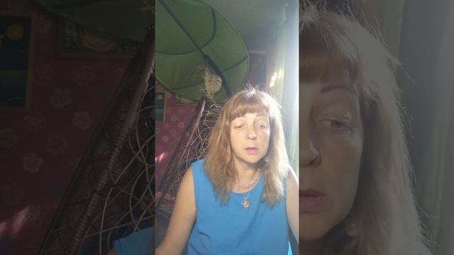 Шаманский вторник - моринга смотреть онлайн