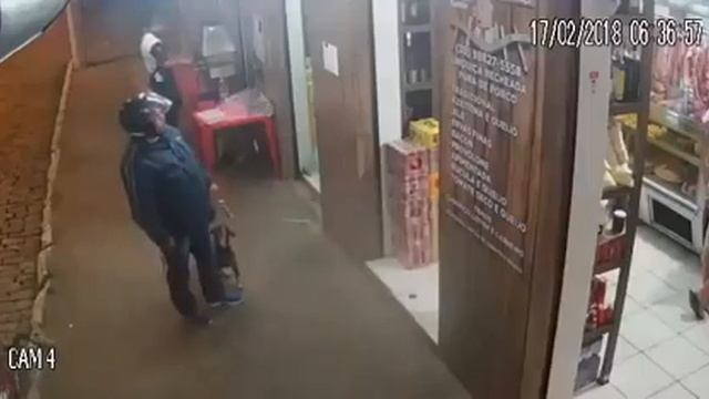 Собака украла шашлык смотреть онлайн