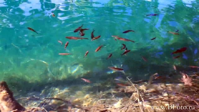 Плитвицкие озера Хорватия, Croatia Plitvice Lakes HD video 1080p смотреть онлайн