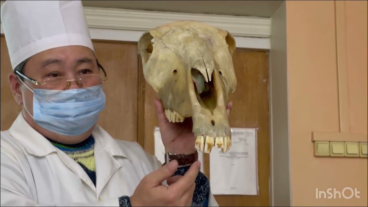 Череп - 3, 9 декабря 2023 г. смотреть онлайн