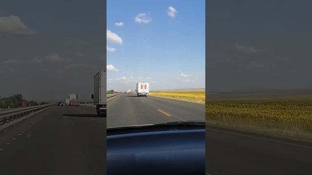 18 июля 2023 г. смотреть онлайн