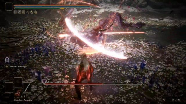 Elden Ring | Carian Combo Warriors Katana Mod Showcase Vs Malenia