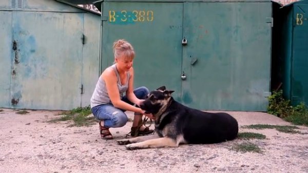 Огромный Рей. Восточно-Европейская овчарка. East European Shepherd