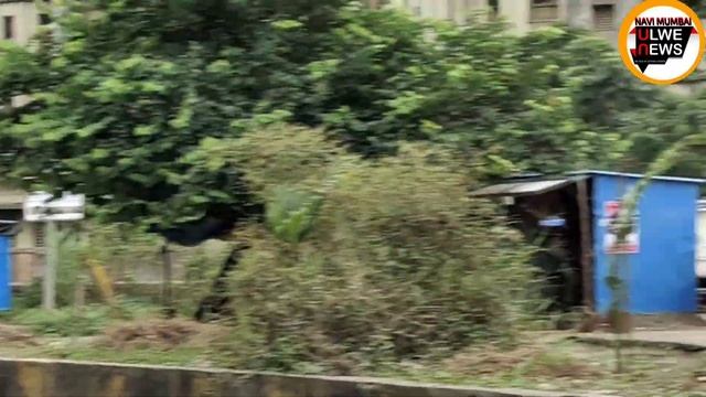 MAHARASHTRA BAND FAILED IN PANVEL RURAL ULWE NODE.JUST A POLITICAL STUNT.NMUN смотреть онлайн