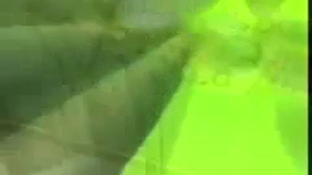 Процесс фотосинтеза начинается с восходом Солнца смотреть онлайн