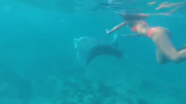 Море,пляж,девчонки смотреть онлайн