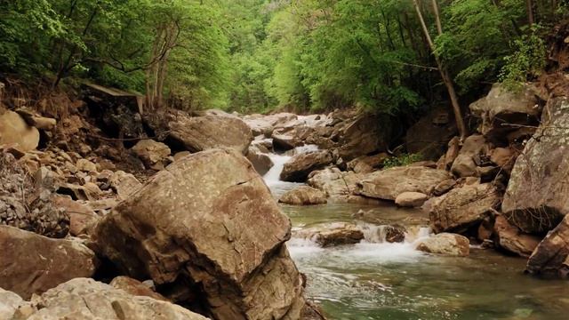 our nature / relax video with music смотреть онлайн