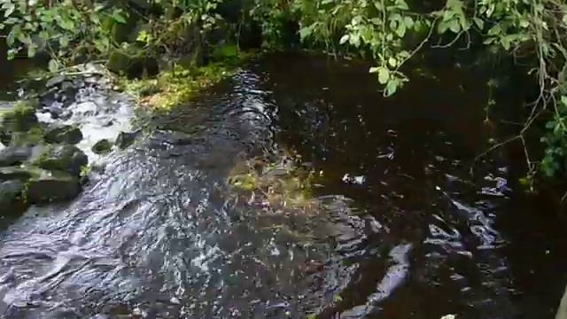 Grover Creek Fish Hatchery смотреть онлайн