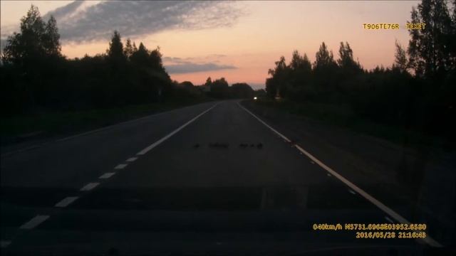 Утята переходят дорогу смотреть онлайн