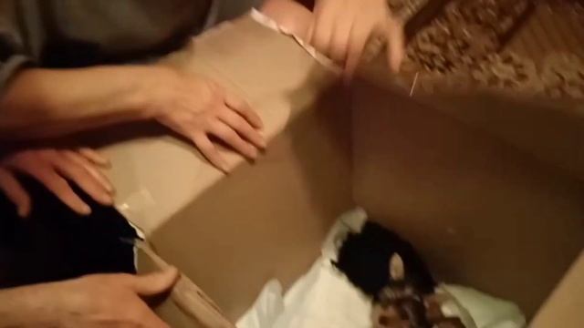 Подарок родителям на Новый Год! Мама плакала от счастья смотреть онлайн