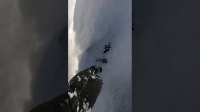 Found you! Gen 5 problems ?♀️ #lynx #snowmobile #shredder #skidoo #850 #re #turbo #snowmobilefail смотреть онлайн