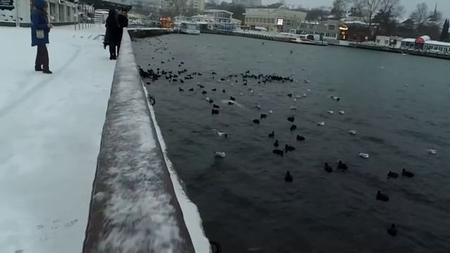 Севастопольские птицы смотреть онлайн