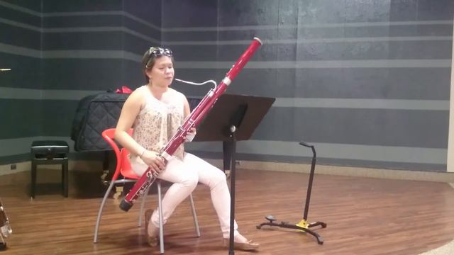 Melanie Ferrabone - Fagot -- YOA Audición 2017 смотреть онлайн