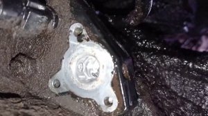 Cummins isb глохнет. Опять 157. Нет давления.