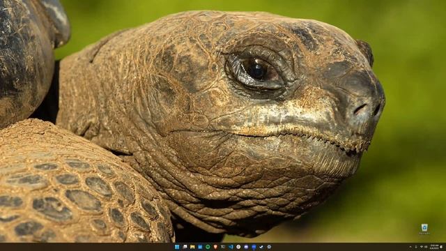 W1D2: Git & Github смотреть онлайн