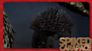 Anguirus｜KAIJU PROFILE (ft. Goji73) 【wikizilla.org】