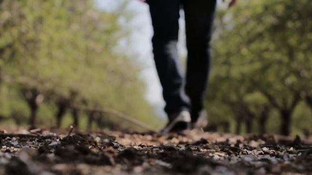 Мотивация и практики для успеха