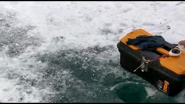 #КАПЧАГАЙ #АЛМАТЫ #Рыбалка зимняя #вобла супер клев. #КРУПНЯК ! смотреть онлайн