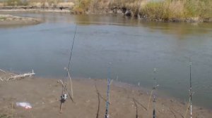 Ловля СУДАКА на нарезку.