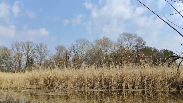 20 апреля народный праздник Акулинин день. Что нельзя делать. Именинники дня. Народные приметы. смотреть онлайн