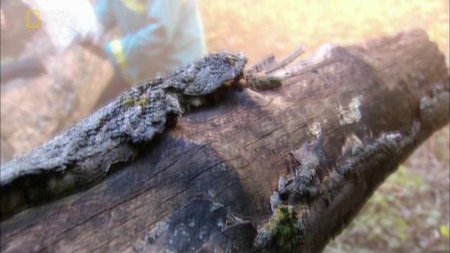 10-01 Последняя ошибка пилота (Cockpit Failure)