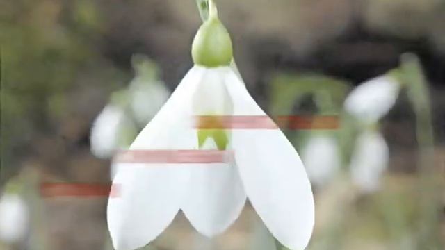 Весеннее настроение смотреть онлайн