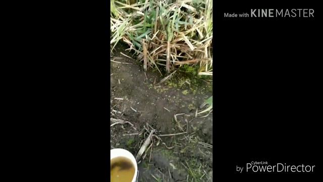 Рыбалка с друзьями смотреть онлайн