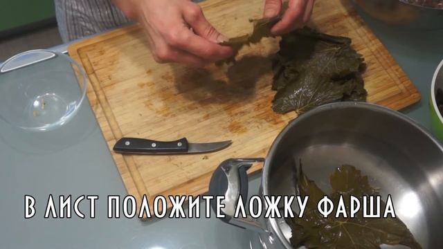 Как приготовить долму - вкусный рецепт смотреть онлайн