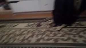 Реклама На DVD-Диск Синдбад Легенда Семи Морей (2003)