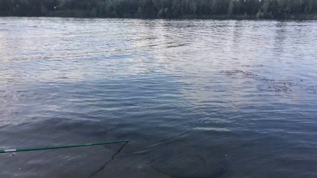 МАШУЛЬКА ЛОВИТ РЫБУ.ХОРОШИЙ УЛОВ. ЧАСТЬ 1. смотреть онлайн